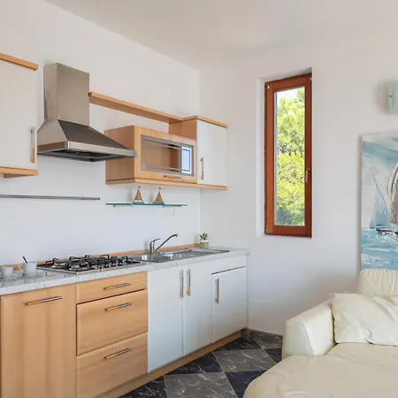 Luxury Bella Vista With Swimming Pool Villa Betina (Sibenik-Knin)